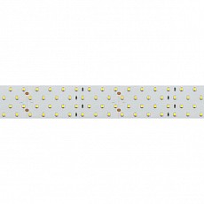 Лента светодиодная arlight  019085(2)