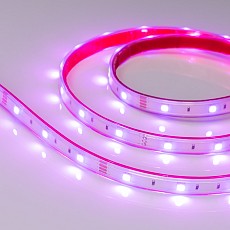 Лента светодиодная arlight rtw герметичная 028711