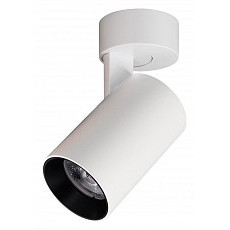 Спот citilux Тубус cl01b070n