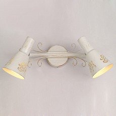 Спот citilux Дункан cl529522
