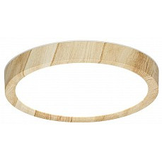 Накладной светильник citilux Бейсик cl738122n