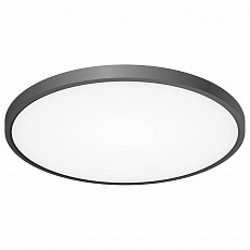 Накладной светильник citilux Бейсик cl738401v