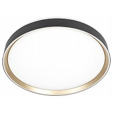 Накладной светильник citilux boss cl751451g