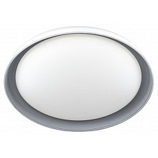 Накладной светильник citilux mega cl752451g