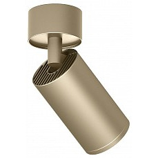 Спот denkirs tube dk2029-gg