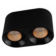 Накладной светильник denkirs dk3040 dk3096-bk-br