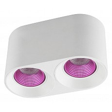 Накладной светильник denkirs dk3020wpi dk3096-wh-pi