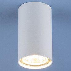 Накладной светильник elektrostandard 1081 a037712