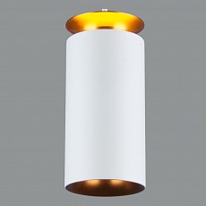 Подвесной светильник elektrostandard dls021 9-4w 4200К a045501