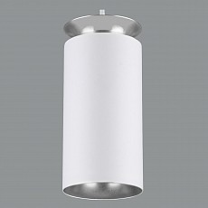 Подвесной светильник elektrostandard dls021 9-4w 4200К a045502