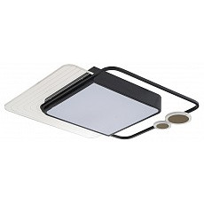 Накладной светильник escada meridian 10225-sg led