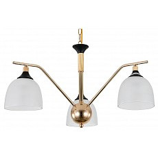 Подвесная люстра escada actinidia 2123-3p
