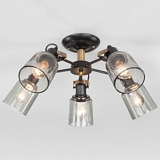 Потолочная люстра eurosvet astor 70...