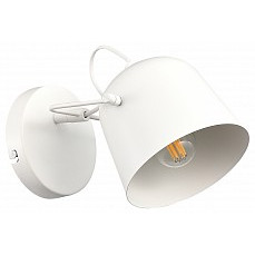 Бра evoluce blank sle1805-501-01