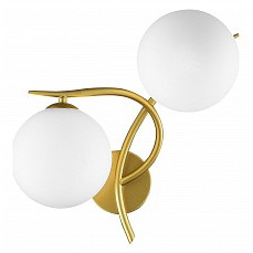 Бра evoluce artu sle2210-201-02