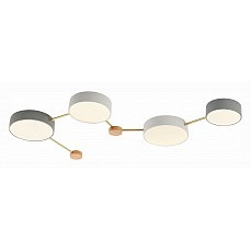 Накладной светильник evoluce dossena sle600102-04