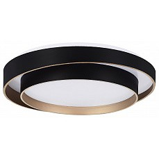 Накладной светильник evoluce crosby sle6009-402-01