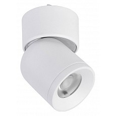 Светильник на штанге favourite unika 4150-1u