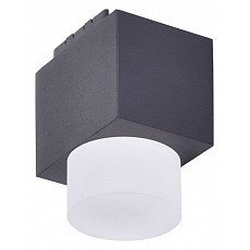 Накладной светильник favourite unika 4153-1u