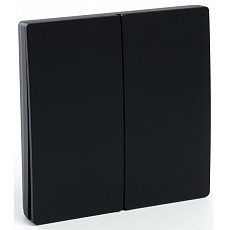 Выключатель беспроводной двухклавишный feron tm 82 41723