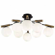 Потолочная люстра freya paolina fr5011cl-08b