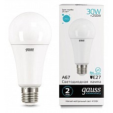 Лампа светодиодная gauss led elementary a67 e27 30Вт 4100k 73229