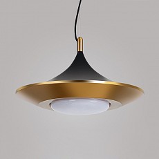 Подвесной светильник imperiumloft rask rask01