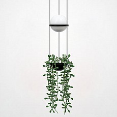Подвесной светильник imperiumloft palma wall lamp 22.93727