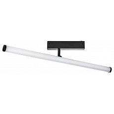 Светильник на штанге lightstar teta 205607