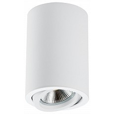Накладной светильник lightstar rullo 214406