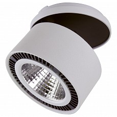 Спот lightstar forte inca 214829