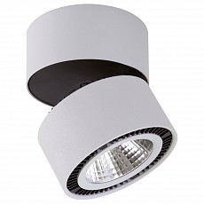 Накладной светильник lightstar fort...