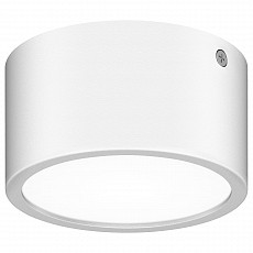 Накладной светильник lightstar zoll...
