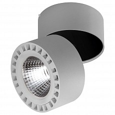 Светильник на штанге lightstar forte 381394