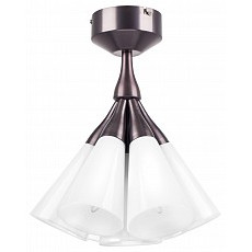 Люстра на штанге lightstar cone 757070