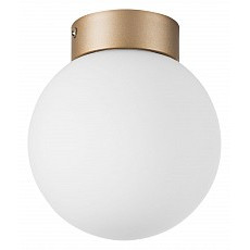 Накладной светильник lightstar globo 812013