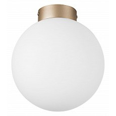 Накладной светильник lightstar globo 812023