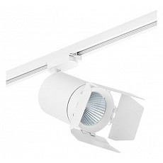 Светильник на штанге lightstar canno c326496