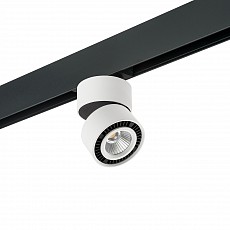 Светильник на штанге lightstar forte muro pro213816