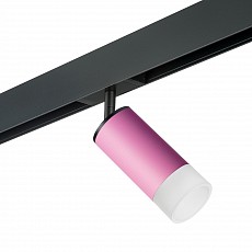 Светильник на штанге lightstar rullo pro43231