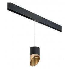 Подвесной светильник lightstar rullo prorp3487190