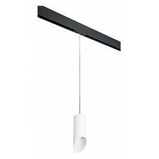 Подвесной светильник lightstar rullo prorp43636