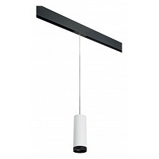 Подвесной светильник lightstar rullo prorp4863437