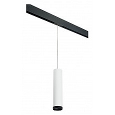 Подвесной светильник lightstar rullo prorp4963437