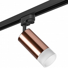 Светильник на штанге lightstar rullo r1t43031