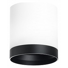 Накладной светильник lightstar rullo r34863487