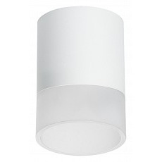 Накладной светильник lightstar rullo r348681