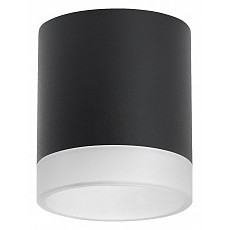 Накладной светильник lightstar rullo r348780