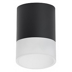 Накладной светильник lightstar rullo r348781