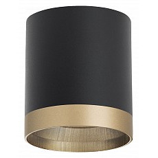 Накладной светильник lightstar rullo r348790